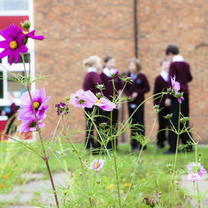 School Photographer